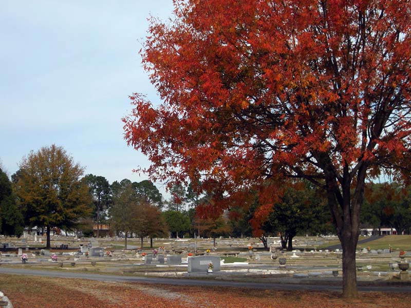 porterdale cemetery