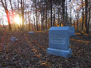Coleman Tyler Cemetery, Wildwood, Missouri - Burial Records